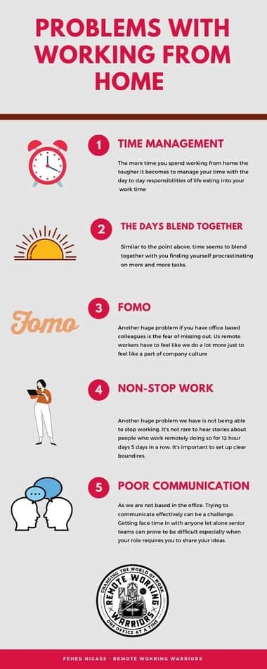 remote working rules infographic
