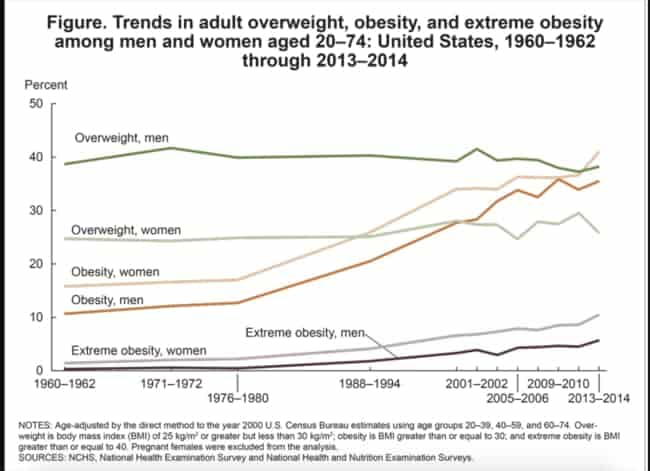 Obesity stats 