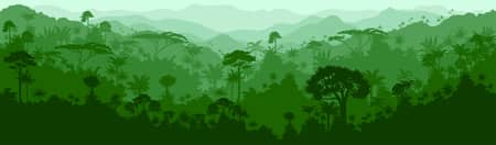 Rainforest banner 