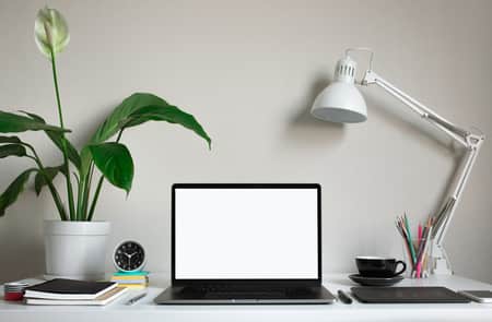 Empty laptop and plant 