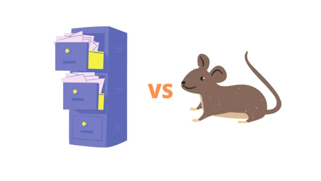 Can Mice Get Into File Cabinets 